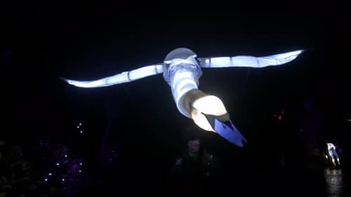 Glowing Swan Marionette at Night Festival