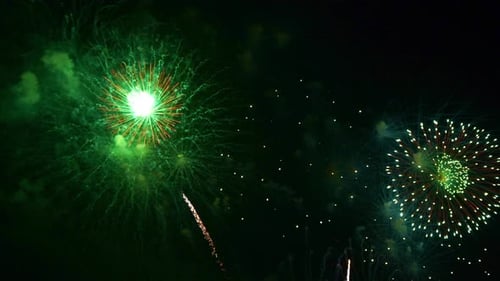 Colorful Fireworks Exploding in the Night Sky