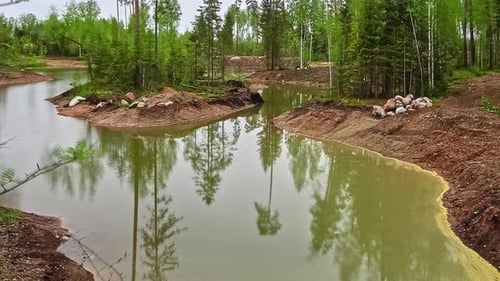 Idyllic View Of A Peaceful Lake With Tree Reflections During Misty Morning. Timelapse