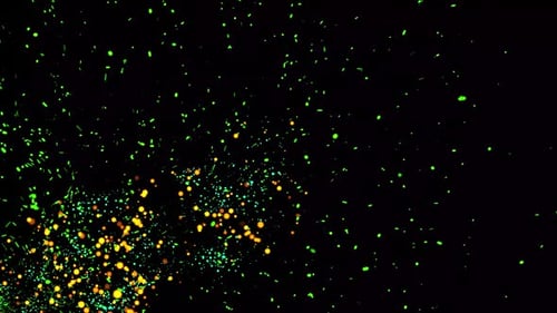 Particules incandescentes isolées abstraites sur fond dégradé au Ralenti. Vd 489