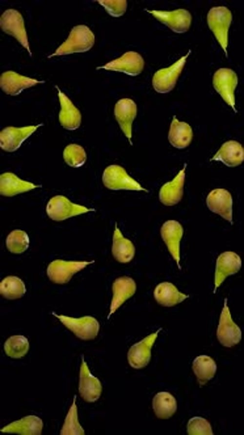 Vertical Falling Green Pears on Alpha