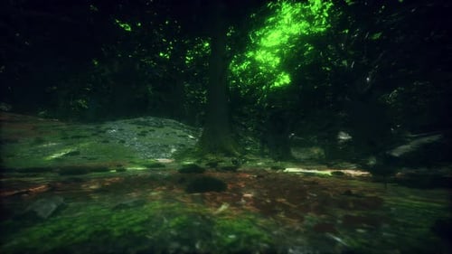 Tree Roots and Sunshine in a Green Forest