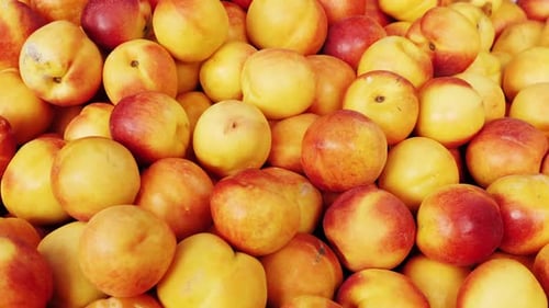 A Group of Colorful Nectarine Fruits on a Market