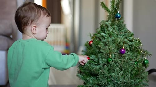 Child Decorating Christmas Tree at Home