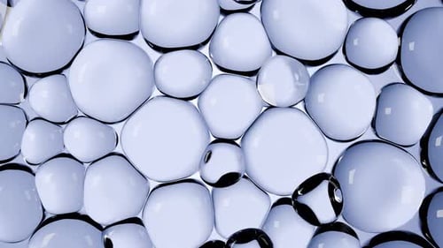 Abstract bubbles animation. Transparent glossy spheres or balls, water drops