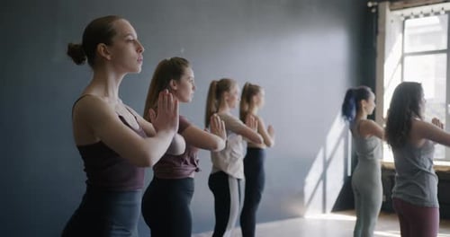 Group of Young Women Exercising Doing Yoga in Sunlit Gym Concentrated on Practice