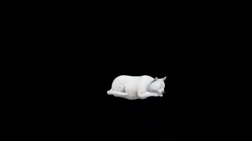 Animated Sleeping White Cat Blinking Eyes