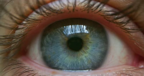 Slow motion macro close up of male blue eye is looking and blinking in camera.
