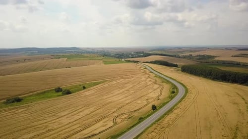 Aerial View of a Road with Moving Cars Between Yellow Agriculture Wheat Fields Ready to Be Harvested