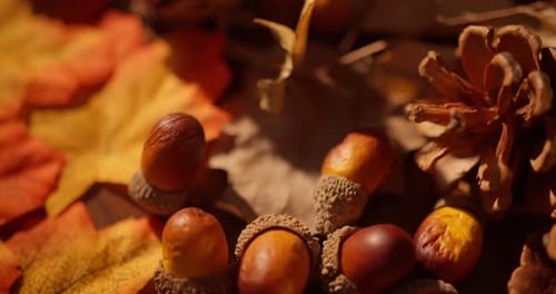 Fall Foliage, Acorns, and Pine Cones Arrangement