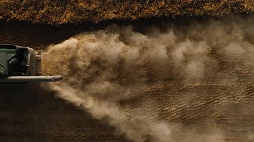 Combine Harvester with Straw Chopper Works in the Wheat Field Harvesting Wheat in Slow Motion Video