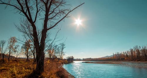 Mountain River Timelapse at the Summer or Autumn Day Time Wild Nature Clear Blue Water and Dry Trees