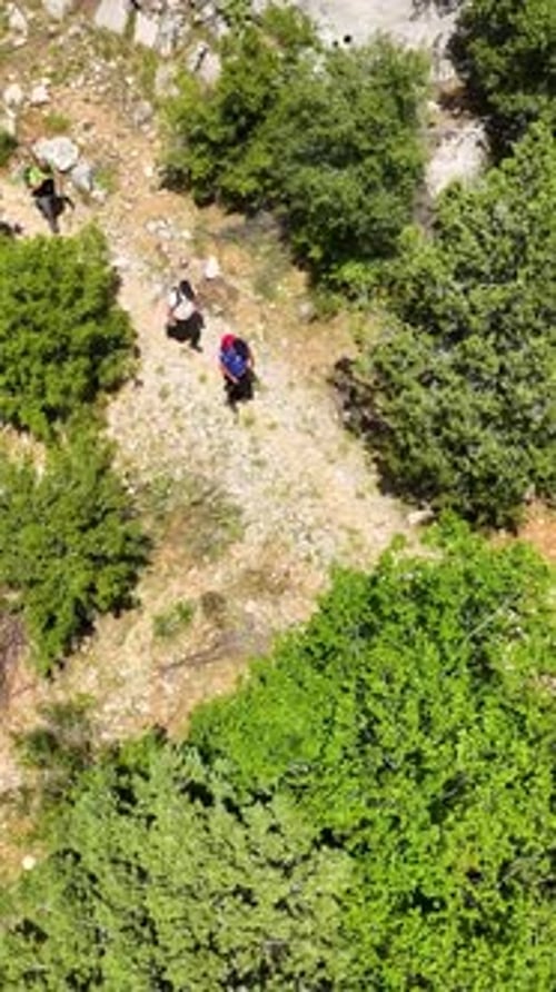 Hikers Trek Through Mountainous Natural Environment