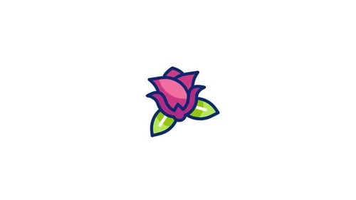 Flat Design Rose Blooming Animation