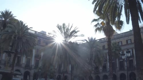 Sunny City Plaza With Palm Trees and Architecture