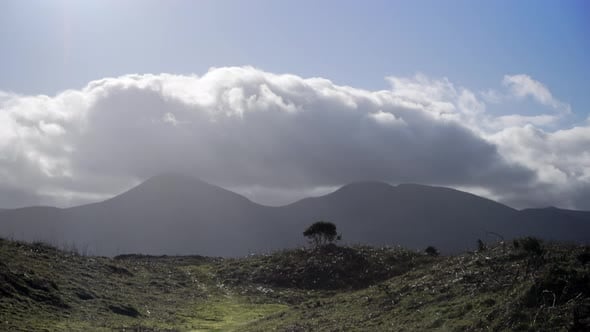Irish mountain range with roiling clouds, sun rays and lonely bush ...