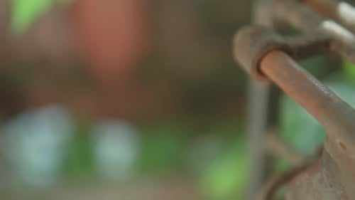 A close-up of an old metal gate with a blurred natural background, shallow depth of field