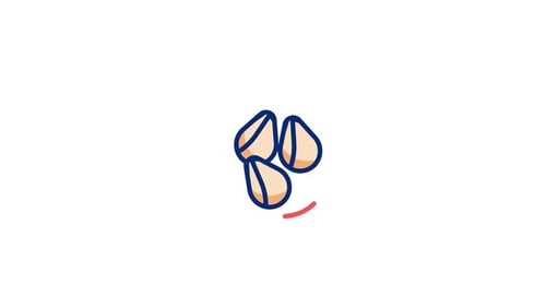 Nut Animated Icon