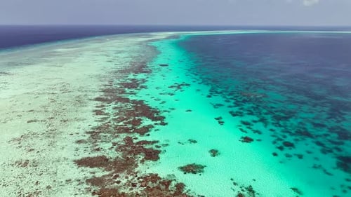 Exotische tropische Insel mit wunderschönem Korallenriff unter klarem türkisfarbenem Wasser. Luftaufnahme