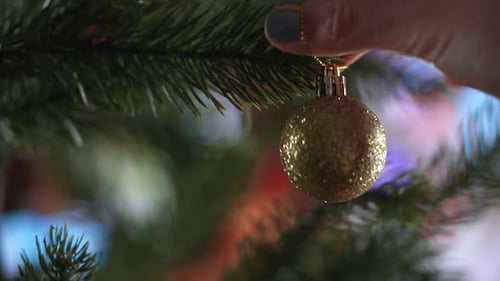 Festive Golden Bauble hanging on Christmas Tree Branch