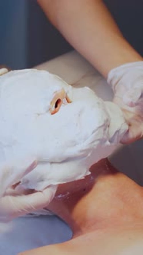 Full Alginate Mask Covers Caucasian Woman Face During Clinic Facial Treatment Aesthetician in Gloves
