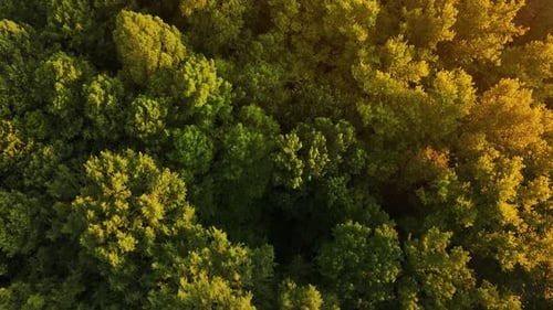 Drone Cinématique Aérien Vertical, Coucher De Soleil, Paysage Naturel