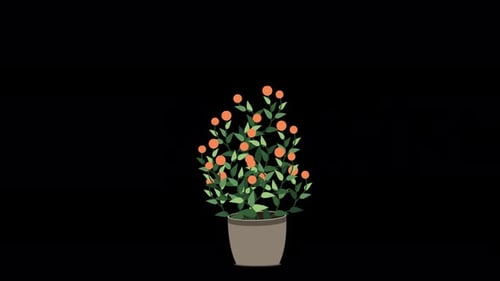 Home plant animation. Potted plant isolated. Decorative green houseplant in pot. Plant in pot