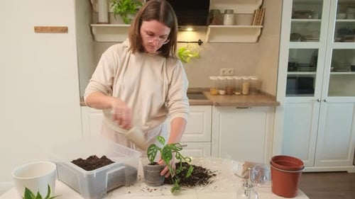 Woman Repotting Plant in Bright Kitchen