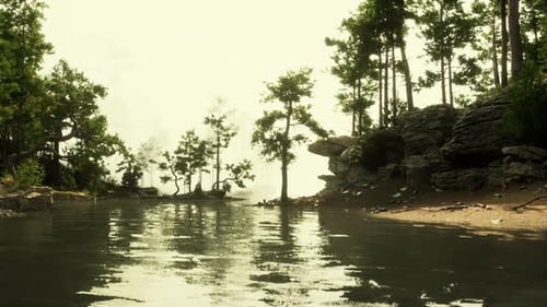 Blue Water in a Forest Lake with Pine Trees