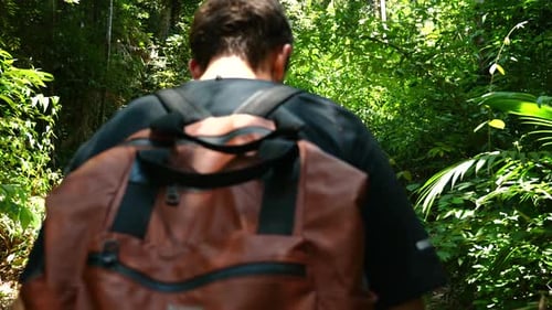 Man Hiking in Tropical Forest with Backpack