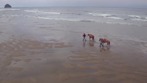 Aerial View of Women Riding Horses at Beach Active