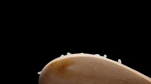 White rice grains fall down from a wooden spoon. Slow-motion.