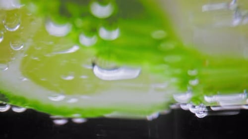 Lime Slices Bubbling in Sparkling Water