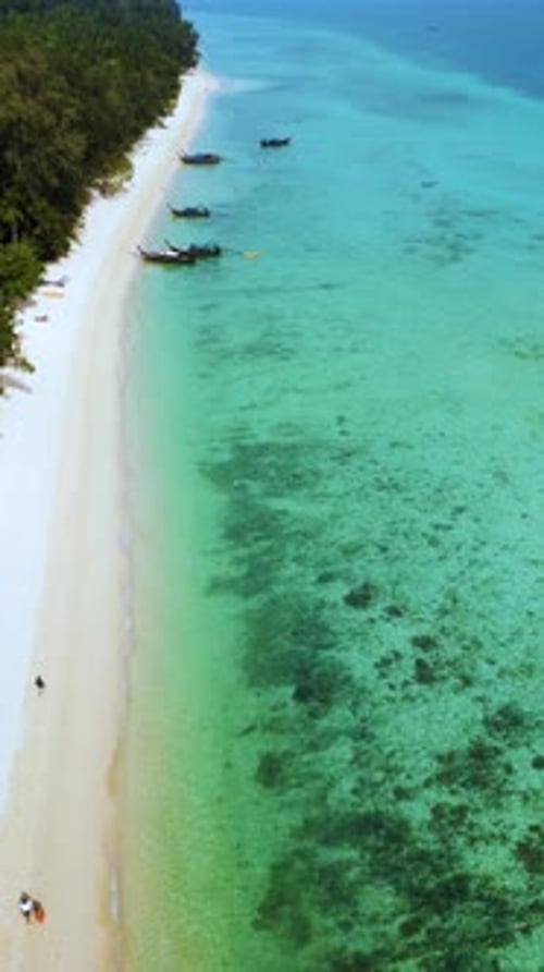 Explore the Pristine Beauty of Koh Kradan Island in Thailands Tropical Paradise