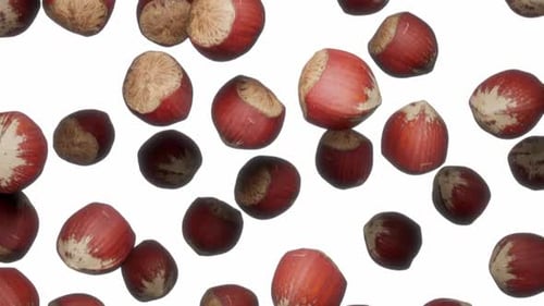 Realistic Hazelnuts Falling on White Background Loop