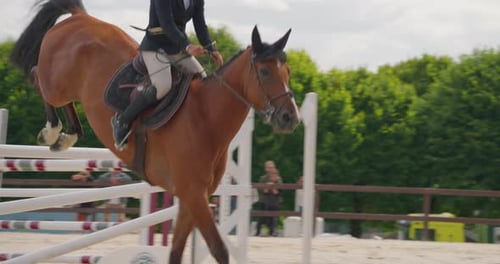 Horse and Rider Show Jumping over Hurdles