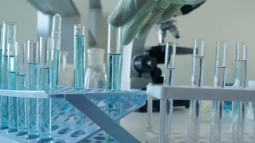 Gloved Hand Taking Test Tube in Lab