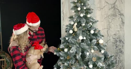 Festive Couple with Dog Decorating Christmas Tree