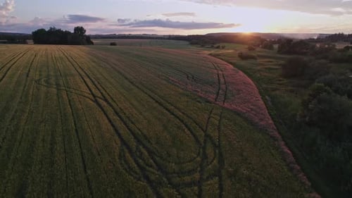 Flug über ein Ackerfeld mit Spuren eines Traktors bei Sonnenuntergang, Tschechische Republik