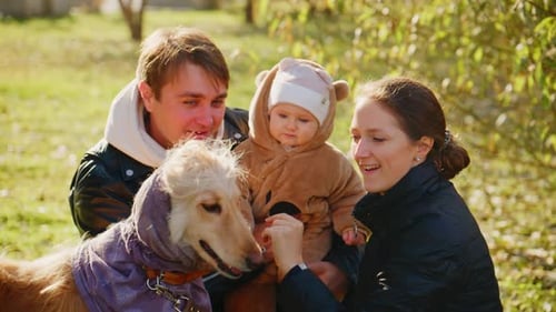 Family Cuddling with Baby and Dog in Sunny Park