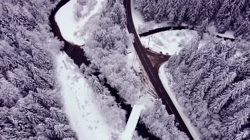Aerial Shot of a White Winter Forest Snowy Treetops Intersection of Roads and Streams