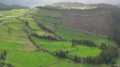 Aerial view of a green countryside with pastures. Orbit descending
