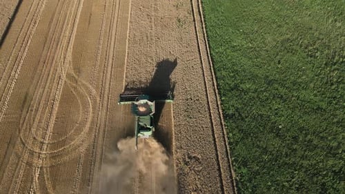 Combine harvester working on wheat field, aerial view