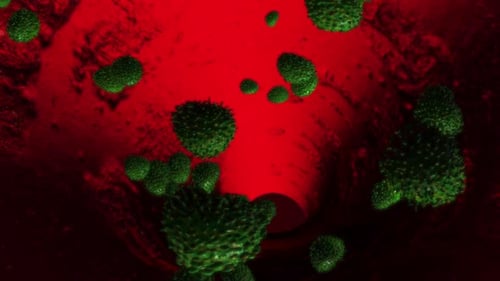 Green Cells Flowing Through Red Blood Vessel Animation