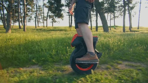 POV of Unicycle Rider Gliding Through Forest on Sunny Day