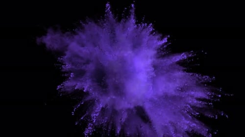 Vibrant Purple Powder Explosion Transition
