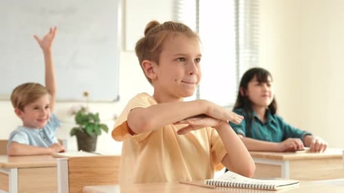 Children Raising Hands in Classroom at School