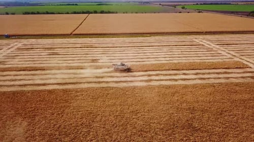 Aerial Drone View Combine Harvesters Working in Soybean Field on Sunset Harvesting Machine Driver