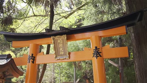 A vibrant red torii gate marks the entrance to a peaceful shrine, surrounded by tall green trees. Tr