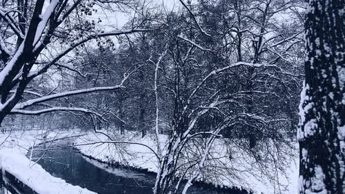 River flowing in a snowy winter forest.